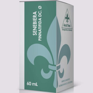 Aral Thel Senebiera Pinnatifida DC